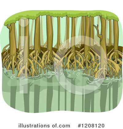 Swamp Clipart #1208120 by BNP Design Studio