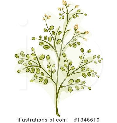 Naturopathic Clipart #1346619 by BNP Design Studio