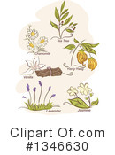 Naturopathic Clipart #1346630 by BNP Design Studio