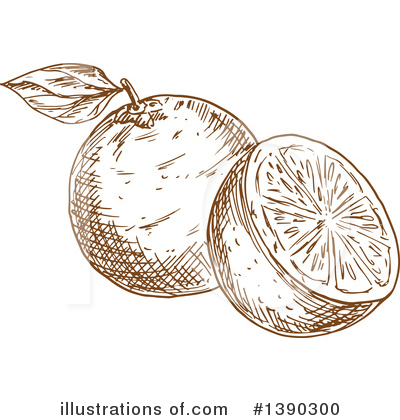 Royalty-Free (RF) Navel Orange Clipart Illustration by Vector Tradition SM - Stock Sample #1390300