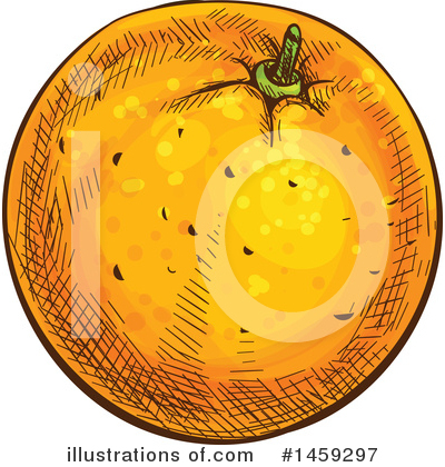 Navel Orange Clipart #1459297 by Vector Tradition SM