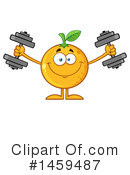 Navel Orange Clipart #1459487 by Hit Toon