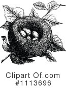 Nest Clipart #1113696 by Prawny Vintage
