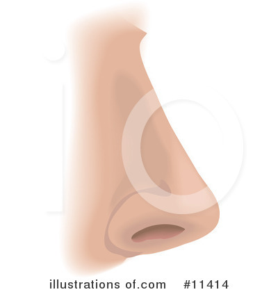 Nose Clipart #11414 by AtStockIllustration