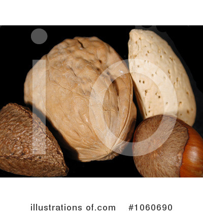 Royalty-Free (RF) Nuts Clipart Illustration by Kenny G Adams - Stock Sample #1060690