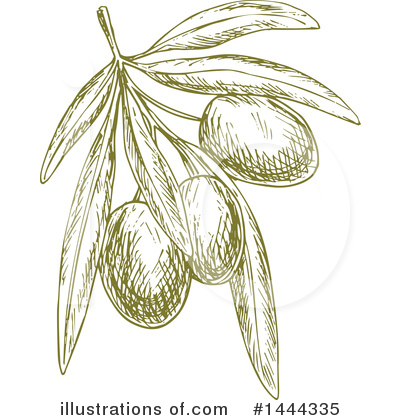 Royalty-Free (RF) Olive Clipart Illustration by Vector Tradition SM - Stock Sample #1444335