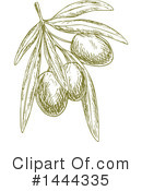 Olive Clipart #1444335 by Vector Tradition SM