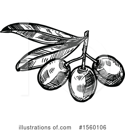 Royalty-Free (RF) Olive Clipart Illustration by Vector Tradition SM - Stock Sample #1560106