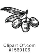 Olive Clipart #1560106 by Vector Tradition SM