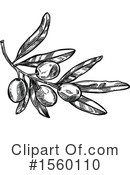 Olive Clipart #1560110 by Vector Tradition SM