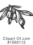 Olive Clipart #1560112 by Vector Tradition SM