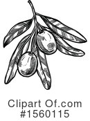 Olive Clipart #1560115 by Vector Tradition SM