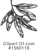 Olive Clipart #1560116 by Vector Tradition SM