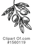 Olive Clipart #1560119 by Vector Tradition SM