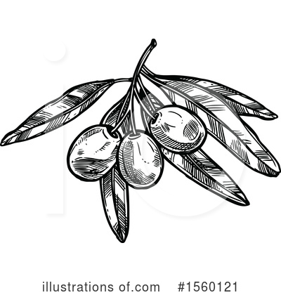 Royalty-Free (RF) Olive Clipart Illustration by Vector Tradition SM - Stock Sample #1560121