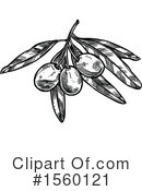 Olive Clipart #1560121 by Vector Tradition SM