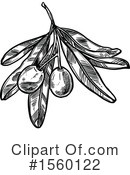 Olive Clipart #1560122 by Vector Tradition SM