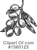 Olive Clipart #1560123 by Vector Tradition SM
