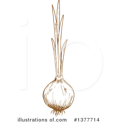 Royalty-Free (RF) Onion Clipart Illustration by Vector Tradition SM - Stock Sample #1377714