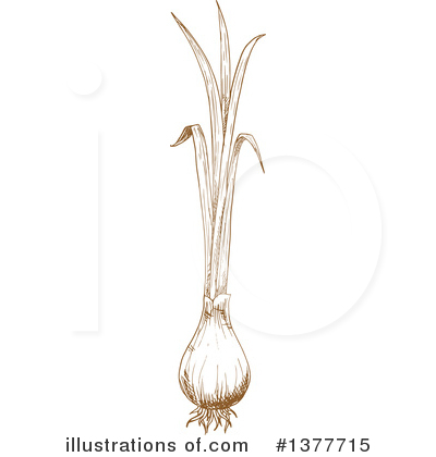 Green Onion Clipart #1377715 by Vector Tradition SM