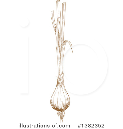 Green Onion Clipart #1382352 by Vector Tradition SM