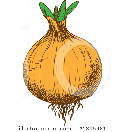 Yellow Onion Clipart #1395681 by Vector Tradition SM