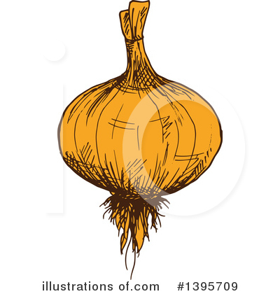Onion Clipart #1395709 by Vector Tradition SM