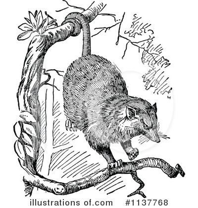 Royalty-Free (RF) Opossum Clipart Illustration by Prawny Vintage - Stock Sample #1137768