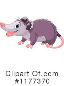 Opossum Clipart #1177370 by Pushkin