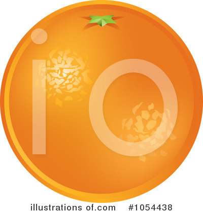 Navel Orange Clipart #1054438 by TA Images