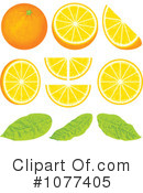Oranges Clipart #1077405 by Any Vector