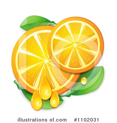 Royalty-Free (RF) Oranges Clipart Illustration by merlinul - Stock Sample #1102031
