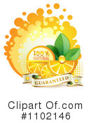 Oranges Clipart #1102146 by merlinul