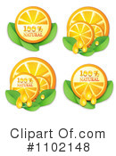 Oranges Clipart #1102148 by merlinul