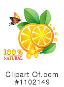 Oranges Clipart #1102149 by merlinul