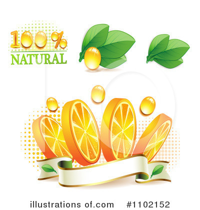 Royalty-Free (RF) Oranges Clipart Illustration by merlinul - Stock Sample #1102152