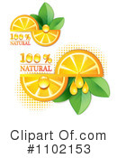 Oranges Clipart #1102153 by merlinul
