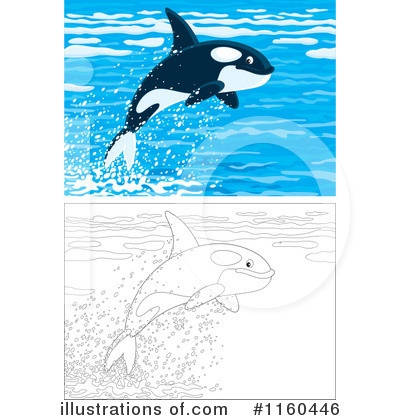 Royalty-Free (RF) Orca Clipart Illustration by Alex Bannykh - Stock Sample #1160446
