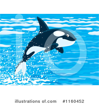 Royalty-Free (RF) Orca Clipart Illustration by Alex Bannykh - Stock Sample #1160452