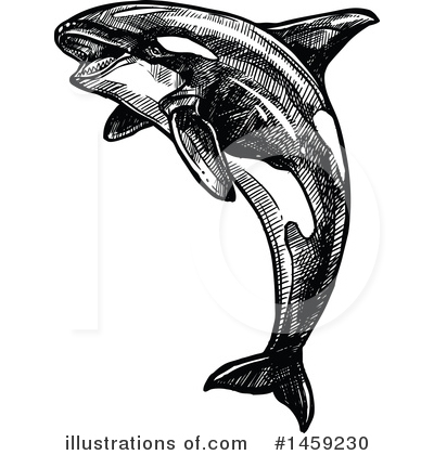 Royalty-Free (RF) Orca Clipart Illustration by Vector Tradition SM - Stock Sample #1459230