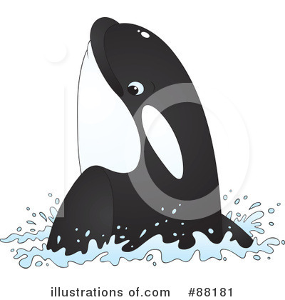 Orca Clipart #88181 by Alex Bannykh