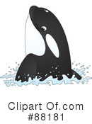 Orca Clipart #88181 by Alex Bannykh