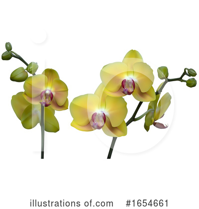 Royalty-Free (RF) Orchid Clipart Illustration by dero - Stock Sample #1654661