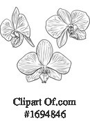 Orchid Clipart #1694846 by AtStockIllustration