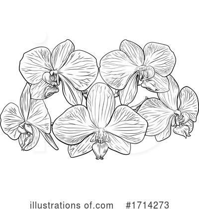 Royalty-Free (RF) Orchid Clipart Illustration by AtStockIllustration - Stock Sample #1714273