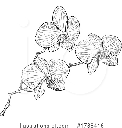 Royalty-Free (RF) Orchid Clipart Illustration by AtStockIllustration - Stock Sample #1738416
