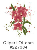 Orchid Clipart #227384 by Eugene