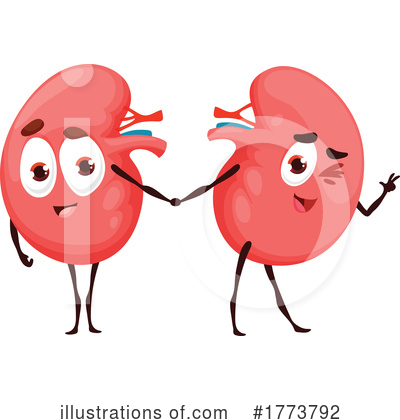 Kidneys Clipart #1773792 by Vector Tradition SM