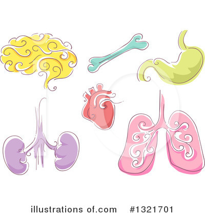 Human Heart Clipart #1321701 by BNP Design Studio