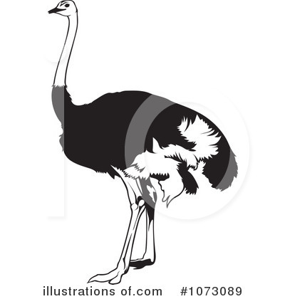 Royalty-Free (RF) Ostrich Clipart Illustration by dero - Stock Sample #1073089